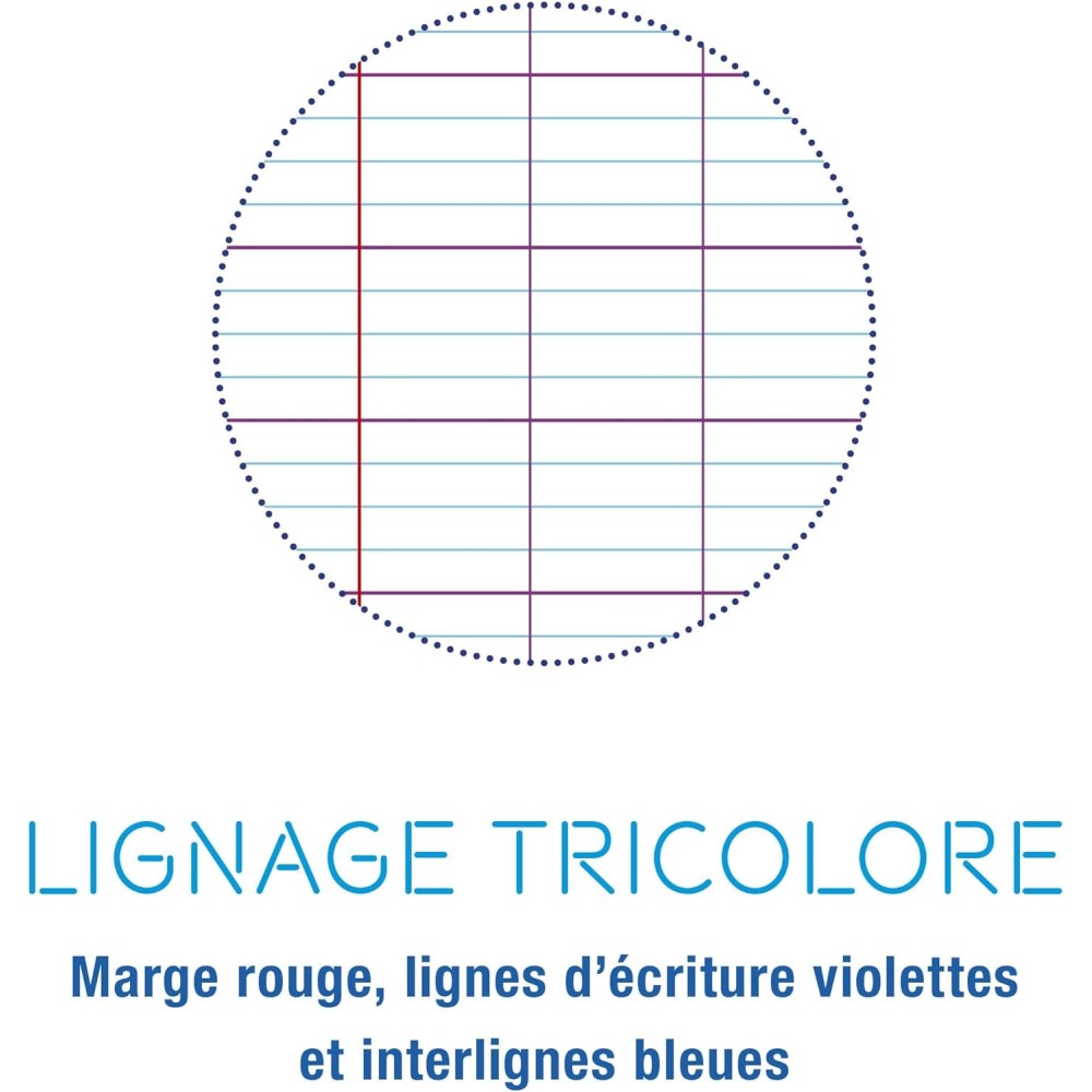 Calligraphe Cahier de Travaux Pratiques - 17x22 cm - 64 Pages Grands Carreau  Polypro Transparent