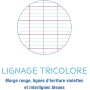 Calligraphe Cahier de Travaux Pratiques Incolore - 24x32 cm - 96 Pages Grands Carreaux